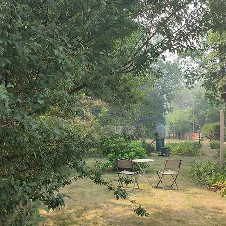 Chalet dans la Foret....Adorable 1 bedroom chalet surrounded by woodland Pressignac Extérieur photo